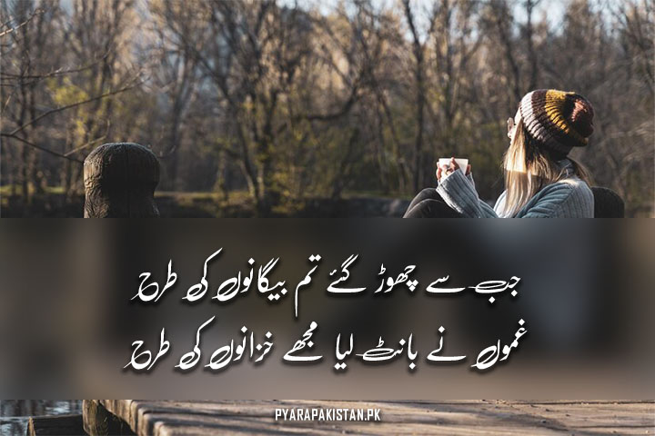 2 Lines Deep And Sad Poetry in Urdu Text with Images 

