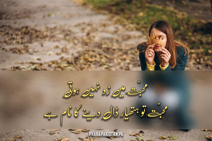 Best Love Poetry In Urdu 2 Lines Romantic Poetry with Text & Images