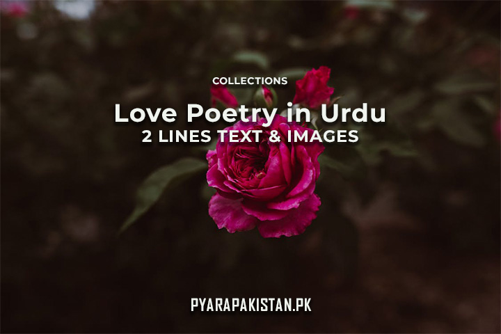 Best Love Poetry In Urdu 2 Lines Romantic Poetry Text & Images Featured Image