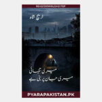 Meri Tanhai Meri Jaan Pe Bani Hai Saiyan Novel by Areej Shah