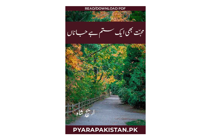 Muhabbat Bhi Ek Sitam Hai Jana Urdu Novel by Areej Shah