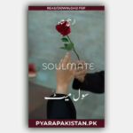 Soulmate Novel by Areej Shah PDF Download Complete Romantic Urdu Novel