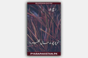Tu Poch Na Haal Faqeer Da Novel by Areej Shah PDF Download Complete Romantic Urdu Novel